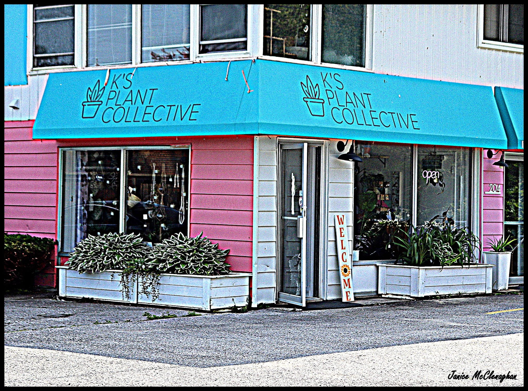 K’s Plant Collective
